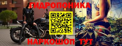 твердый Пушкино