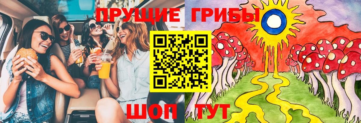 Сертолово  Псилоцибиновые грибы GOLDEN TEACHER  Псилоцибиновые грибы GOLDEN TEACHER  Вход с VPN 